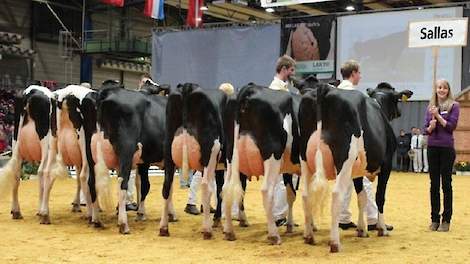 Met informatie van slechts twee meetmomenten behoort de Duitse stier Sallas tot de topstieren op basis van het aanhoudingsgetal. Met 92 procent nog aanwezig op 24 maanden na de eerste kalving scoort hij verreweg het hoogst.