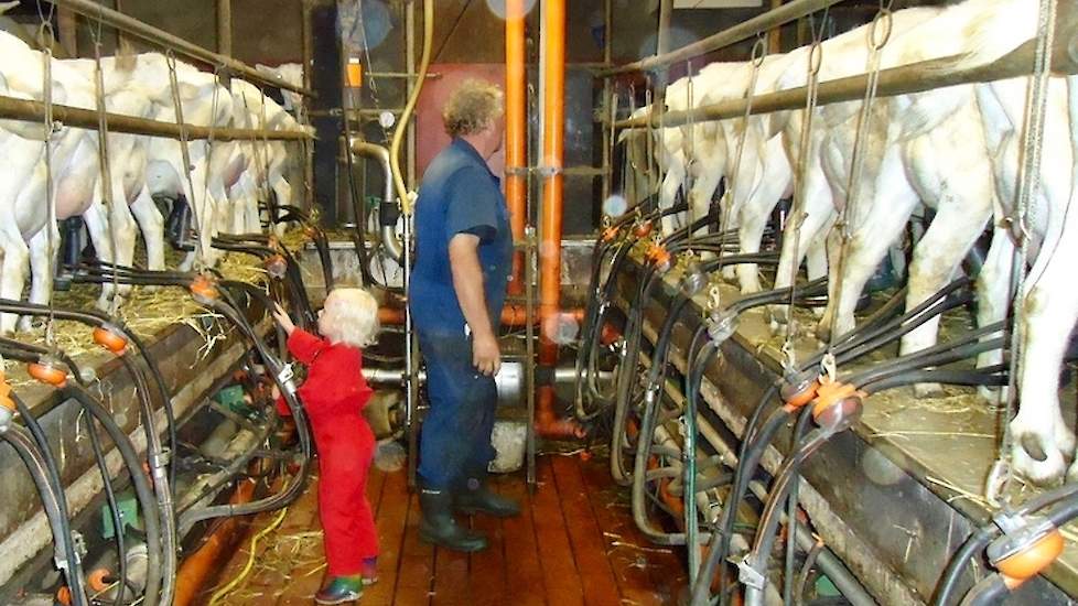 Foto uit de tijd dat Jan Dijkstra nog in de melkput stond. Tegenwoordig is de gepensioneerde geitenhouder voorzitter van de Organic Goatmilk Coöperatie