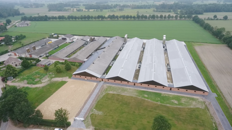 In België zijn de afgelopen jaren relatief veel nieuwe stallen bijgebouwd.