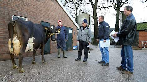 De vakjury bestaande uit Ton Lansbergen, Maurice Kaul en Willem van Laarhoven (van rechts naar links) bekijkt Lobje 2992 van Erik Slijkhuis uit Neede.