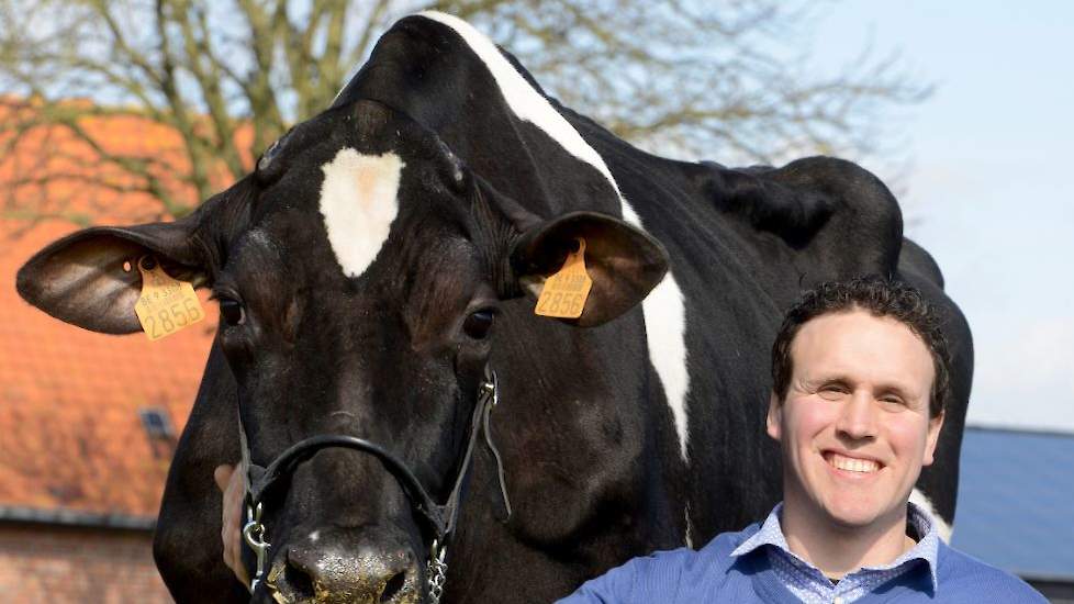 Vitesse (v. Etazon Celsius), de nummer 1-koe voor levensproductie in België