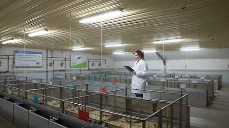 Het Poultry Research Centre van Coppens Diervoeding in Vlierden.