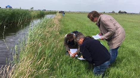 Leden van een agrarisch collectief inventariseren de soortenrijkdom langs een slootkant.