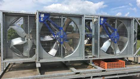 Op extreem warme zomerdagen werken veel vleeskuikenslachterijen met ventilatoren waarmee ze de kuikens op de vrachtwagens verkoeling bezorgen. Bovendien worden de meeste kuikens 's nachts vervoerd wanneer de buitentemperaturen aangenamer zijn.