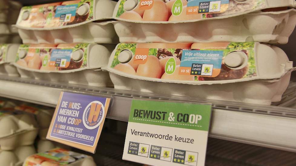 Vlekkeloos werkwoord morgen Prijs van eieren in supermarkt nog nooit zo hoog | Pluimveeweb.nl - Nieuws  voor pluimveehouders