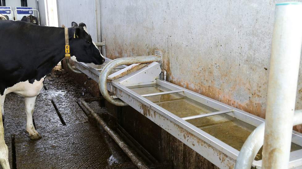 Helft van drinkwater heeft smaakafwijking' | - Nieuws en kennis voor de melkveehouder