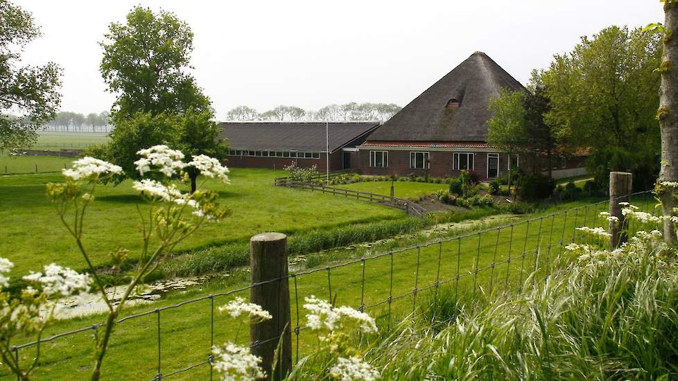 Noord-Hollandse boerderij.