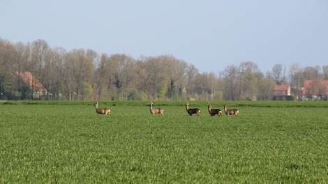 Toeschouwers bij de 2e monitoring in Ens.