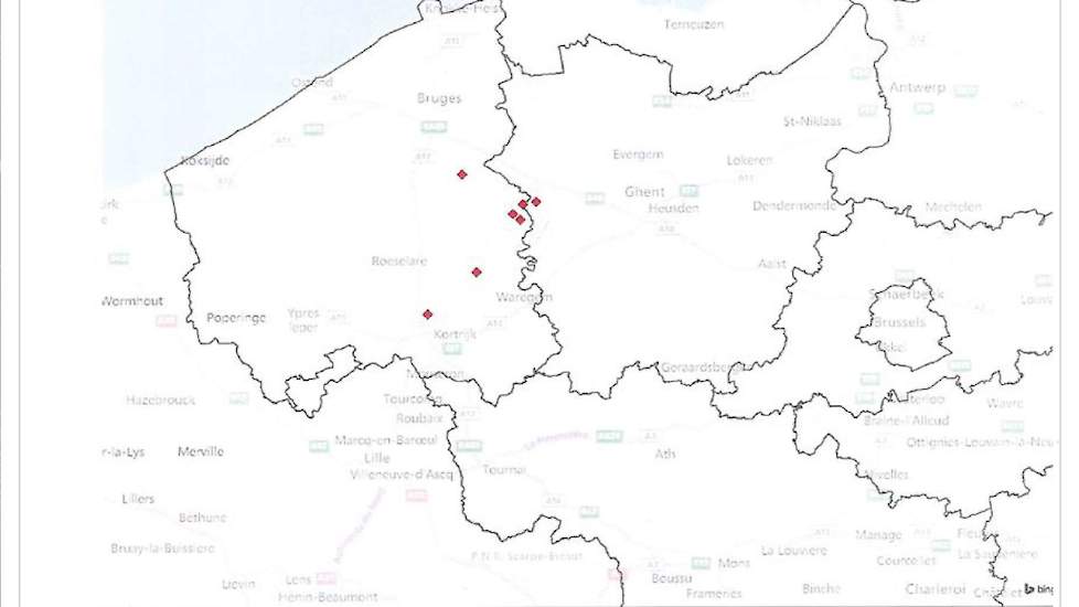 Een kaart met 7 van de 9 uitbraken van laagpathogene vogelgriep in Vlaanderen van de Belgian Feed Association, de Belgische vereniging van veevoerfabrikanten.