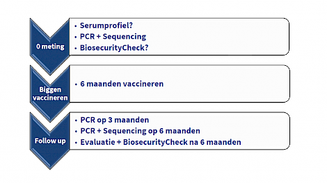 Together against PRRS biggen programma Hipra