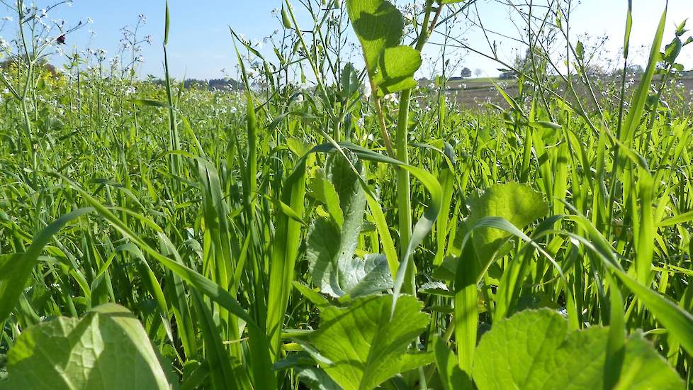 TerraLife® Mengsels speciaal voor de biologische landbouw