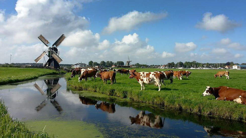 Formuleren schraper krom Twintig miljoen euro tegen bodemdaling Groene Hart | Agraaf.nl -  Landbouwnieuws voor West-Nederland