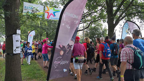 Dinsdag 17 juli deelden de mmmEggies roze gekookte eieren uit aan de wandelaars van de Vierdaagse van Nijmegen.