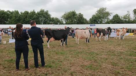 Van links naar rechts de vier finalisten van de categorie oud, Marie 374, Brasiliangirl, Brook Marie 77 en Brook Truus met op de voorgrond de juryleden Mieke Vander Schueren en Huub Peek.