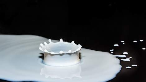 Plasje melk.