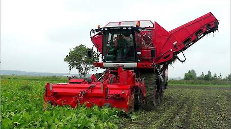 Bieten rooien met Agrifac Opti-Traxx. 2019. Loonb.Voshart & Veltman.