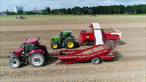 Uien rooien & opladen / Onion harvest / Zwiebeln ernte / Case IH / Keulmac / VSS  Amac