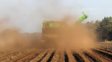 De aanvoer wordt gehinderd door het moeizame rooien op de te droge percelen.