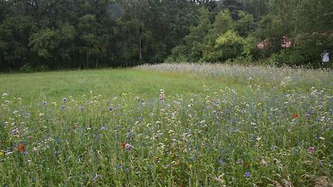 Landbouwgrond duurzaam bodembeheer