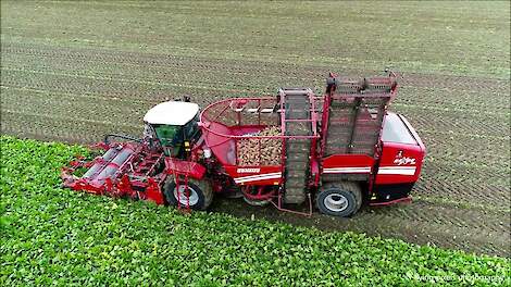 Suikerbieten rooien / Sugar beet harvest / Zuckerrüben ernten / Grimme / Fendt / Bietenoogst 2019