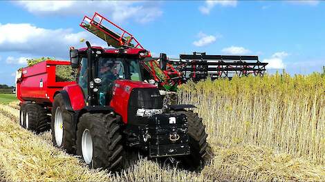 Hennep oogst met Claas 950 en nieuwe hennepkooi en maaibord.