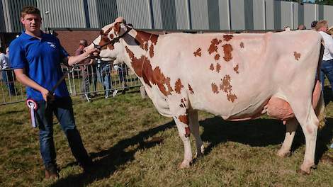 Algemeen kampioene Marijke 96 (v. Red Talent) van de familie Bronninkreef uit Markelo.