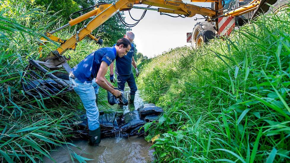 Met oog op de verdroging plaatst Waterschap Limburg (tijdelijk) extra stuwen, zoals hier in de Aalbeek.