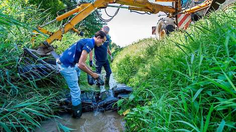 Met oog op de verdroging plaatst Waterschap Limburg (tijdelijk) extra stuwen, zoals hier in de Aalbeek.