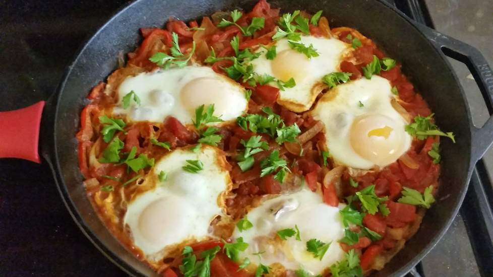 „Hipsters in Amsterdam proberen allerlei gerechten uit bijvoorbeeld de Marokkaanse of Indiase keuken waarbij ei een belangrijk onderdeel is. Shakshuka (foto), tomaten met groente en eieren is hier een voorbeeld van.” Door dit soort gerechten te promoten k