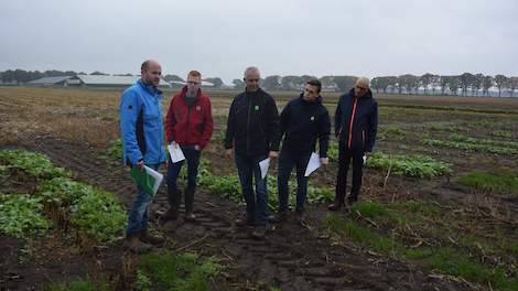 Crop Advisor Sjors Leermakers (links) geeft een groepje adviseurs tekst en uitleg bij het demoveld.