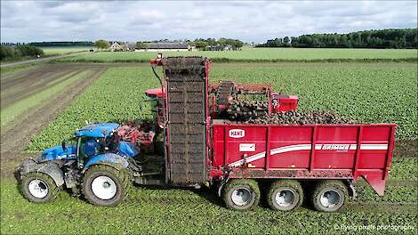 Suikerbieten rooien / Sugar beet harvest / Zuckerrüben ernten / Holmer Terra Dos / Grimme / CLAAS