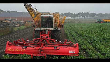 Unique Agrifac 12 rows | Sugarbeet Harvest 2019 | Fendt 724 + 936 | Suikerbieten rooien | Berkers