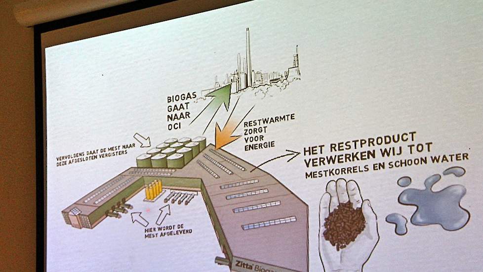 In een tekening het hele proces van de Zitta Biogasinstallatie op het Chemelot bedrijventerrein in Sittard-Geleen in beeld gebracht.