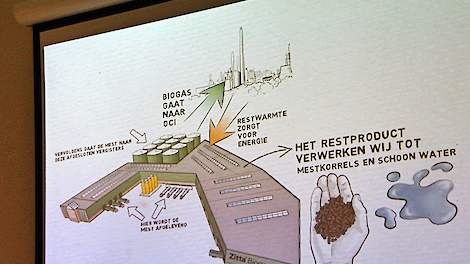 In een tekening het hele proces van de Zitta Biogasinstallatie op het Chemelot bedrijventerrein in Sittard-Geleen in beeld gebracht.