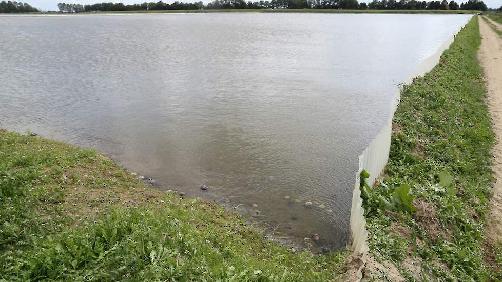 Onderzoekers van WUR volgden de afgelopen vier jaar nauwgezet een praktijkperceel in de Wieringermeer dat onder water was gezet.