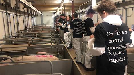 Op 13 mei 2019 drongen dierenextremisten een varkensstal in Boxtel binnen