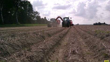 Ook bij de VTA-leden bestaat de vrees dat niet alle aardappelen kunnen worden gerooid.