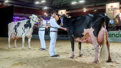 Links Jimm. Holstein Hellen 589 (v. Shottle) van De Vries en rechts New Moore Esmeralda (v. O Man) van Withaar-Prent, die beide al meer dan 100.000 kilo melk produceerden.