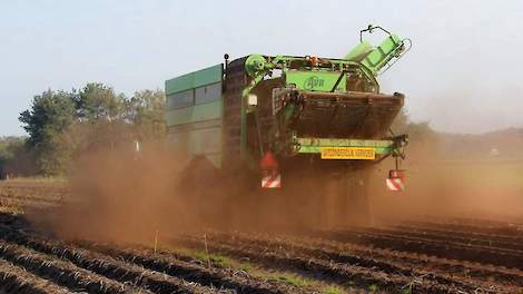 De droogte van zomer 2019 heeft de telers in de pool flink parten gespeeld. Bij veel telers vielen de opbrengsten, zelfs in de beregende partijen, lager uit dan gemiddeld.