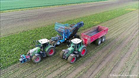 Edenhall 754 / Suikerbieten rooien / Sugar Beet harvest / Zückerruben roden / Fendt / Bietenoogst