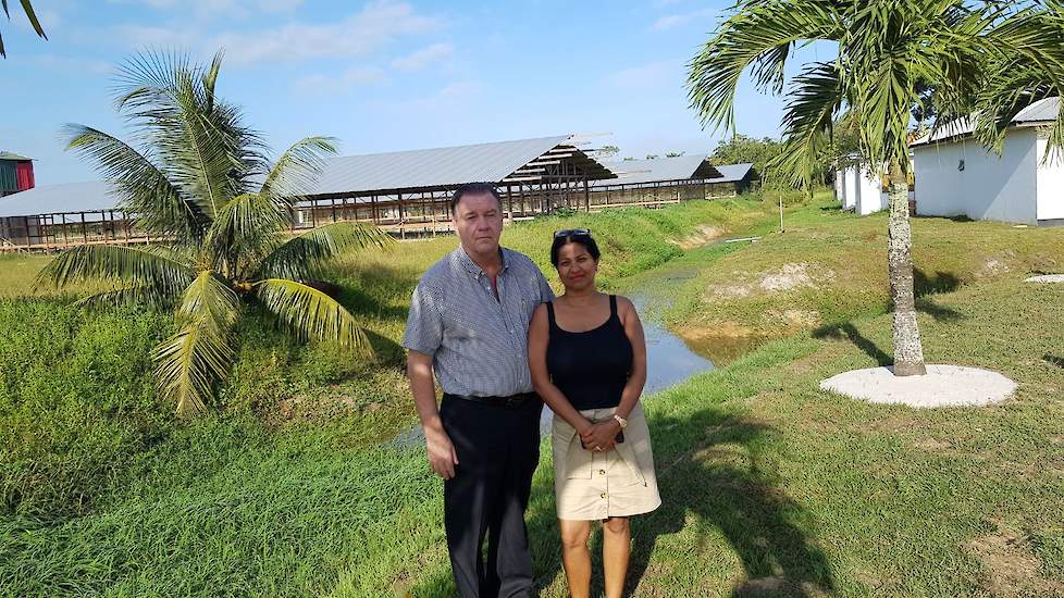 Gerard (60) en zijn vrouw Asha (54) van den Bergh hebben een eenden- en vleeskuikenintegratie in Lelydorp in Suriname.