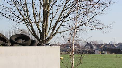Beeld ter illustratie