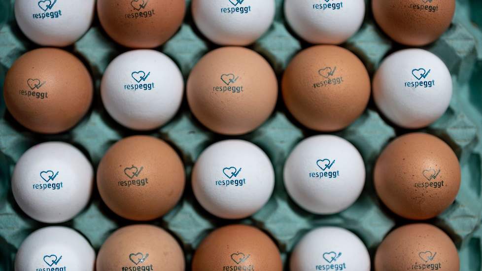 De eieren - die te herkennen zijn aan het Respeggt logo - zijn vanaf eind maart 2020 verkrijgbaar bij alle Jumbo supermarkten.