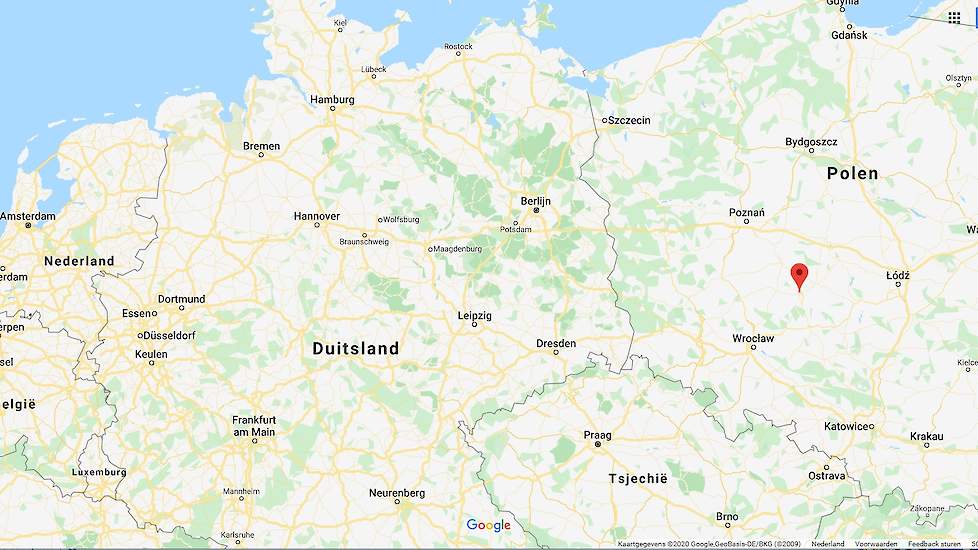 Donderdag 16 januari werd het virus vastgesteld op een eendenbedrijf in de plaats Ostrów Wielkopolski (zie rode punt) in de West-Poolse provincie Groot-Polen.