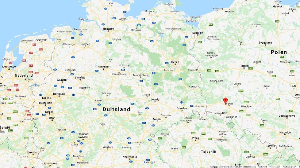 Op een kleinschalig pluimveebedrijf in het Zuidoost Poolse Stupice (zie ronde punt op de kaart) is hoog pathogene H5N8 vogelgriep vastgesteld.