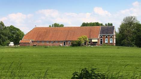 Beeld ter illustratie