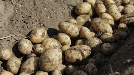 Beeld ter illustratie