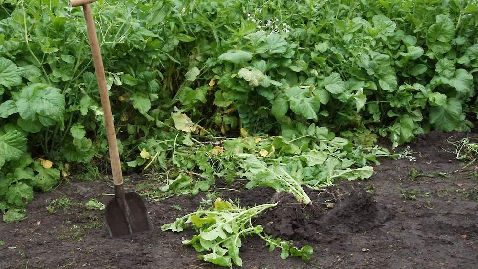 Bodem is van belang voor productie en voor waterbeheer en biodiversiteit.