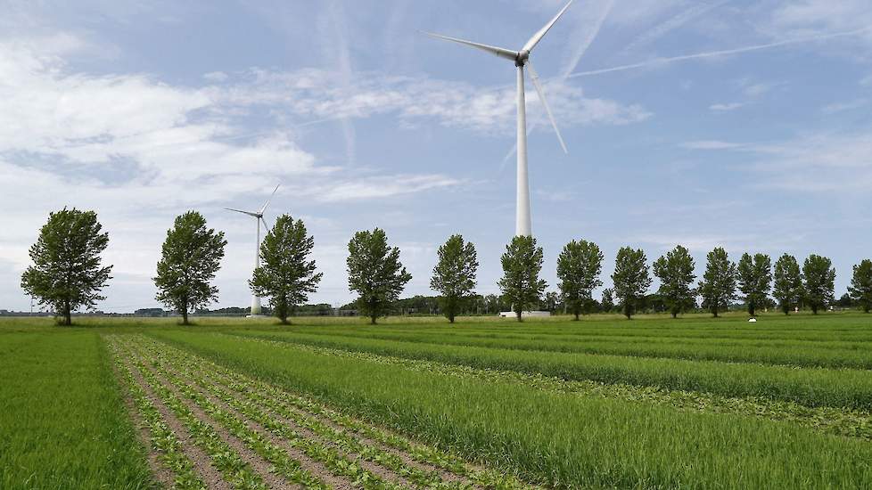 Biodiversiteit en het streven naar gezonde gewassen staan bij www.voorboeren.nl centraal. Strokenteelt kan daaraan een bijdrage leveren, stellen de initiatiefnemers.