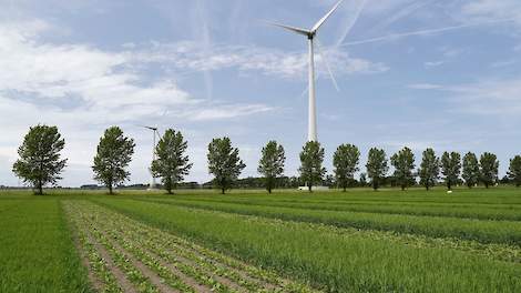 Biodiversiteit en het streven naar gezonde gewassen staan bij www.voorboeren.nl centraal. Strokenteelt kan daaraan een bijdrage leveren, stellen de initiatiefnemers.